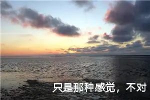 只是那种感觉，不对