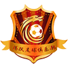 凯尔特人队标