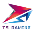 里尔队标